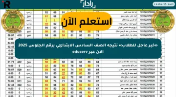 «خبر عاجل للطلاب» نتيجة الصف السادس الابتدائي برقم الجلوس 2025 الآن عبر eduserv